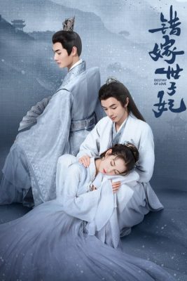 Предназначение любви (2025)